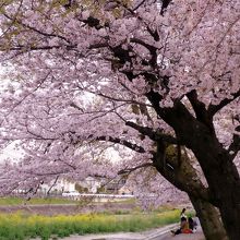 堤防の石段になっているところに座っておしゃべり
