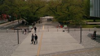 桜が満開の時はきれいだったでしょう