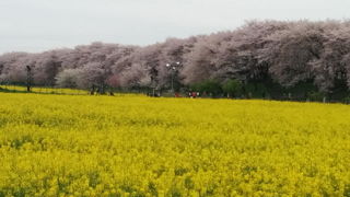 初めて行きました