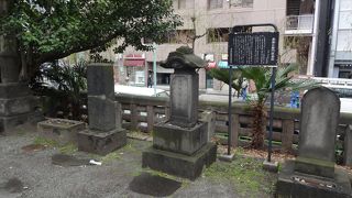 徳川家の白魚御用