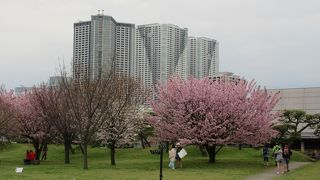 代表的な江戸時代の大名庭園