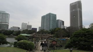 「潮入りの池」にかかる木造の橋