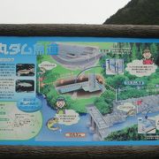 わんこも入れました