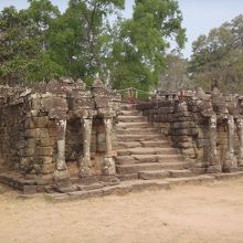 テラスの階段の象の鼻だが、最初は鼻だと分からなかった