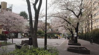 天現寺橋交差点すぐ