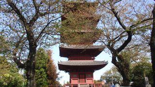 本門寺の敷地内に一際高くそびえる塔です