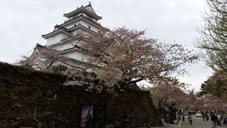 桜がきれいでした。