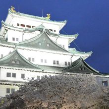 名古屋城と桜