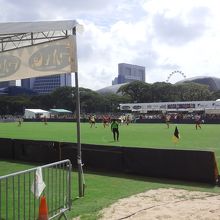 クリケットの試合が行われていました