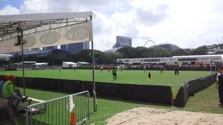 クリケットの試合が行われていました