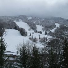 ゲレンデの種類が豊富なスキー場