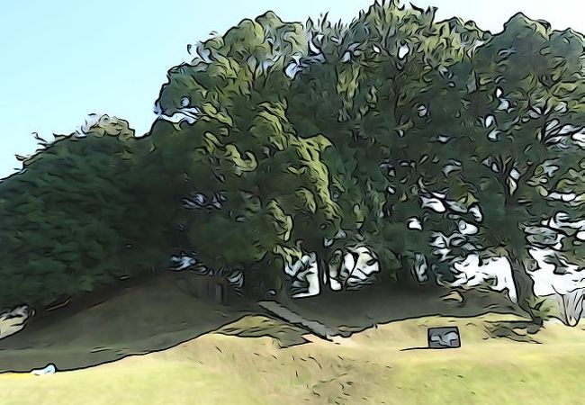 教科書に乗っていた