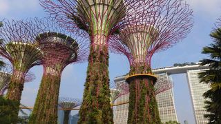 巨大ツリーに圧倒されつつ広大な敷地をゆったり散策（夜も訪れたよ！）