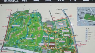 ゆったりしてる