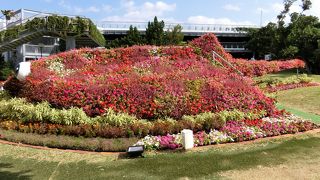 園内周遊バスが走るほど広い公園です