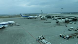 めんそーれ、めんそーれ