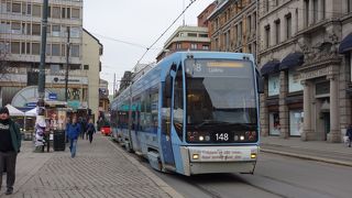 ヴィーゲラン公園にはとラムで