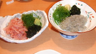 生シラス最高！