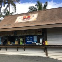 ソフトクリーム売ってます。