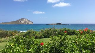 イルカのショーを堪能！その後ラビットアイランドをのんびり眺める