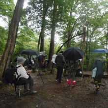 珍鳥ヤイロチョウの出現を待つカメラマン