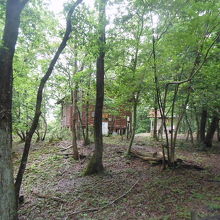 キャンプ場の風景