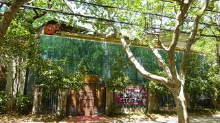 上海では老舗のジャズバー。