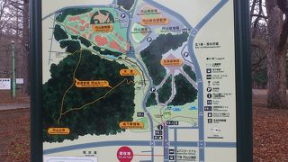 北海道の原生林