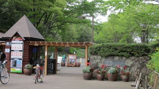 とても広くて綺麗、犬連れに最高