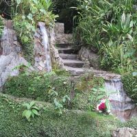 ホテル　散策用庭