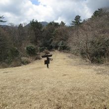 頂上付近に草地があります