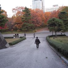本丸から白鳥濠を越えて二の丸庭園に向かう