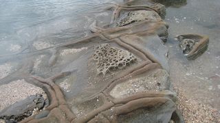 自然ってすごい。