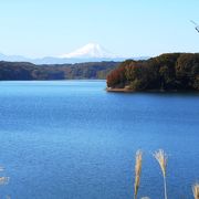 緑に覆われた周囲の丘陵、富士山もくっきり