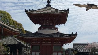 見応えのある浄土寺