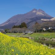 由布岳を眺めながら(大分川沿い)