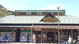 店の入り口にツバメの巣がありとても和みます。