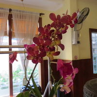 ロビーに飾っていた花