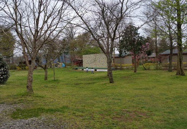 子連れには楽しいキャンプ場