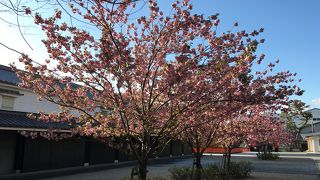 広い境内で休憩