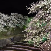 鮎河(うぐい川)両岸にたくさんの桜の木!