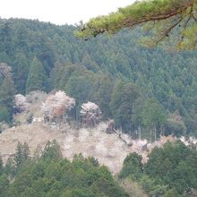 ちょっとアップ