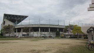 花見ができました