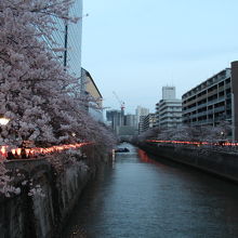 太鼓橋からの眺め