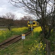 菜の花駅