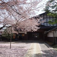 正面入り口付近