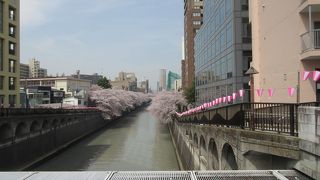 目黒通り、目黒川ですに架かる橋