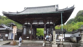 源氏物語に相応しい、花の寺 ♪