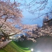 桜のライトアップ2016