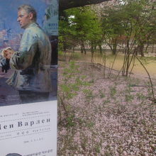 桜が散る季節に私が観覧した展覧会の案内板の様子